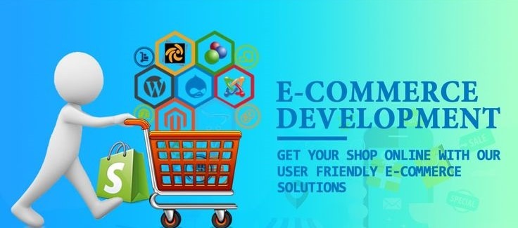 USA Ecommerce Development Experts delivering custom online store solutions for businesses.
