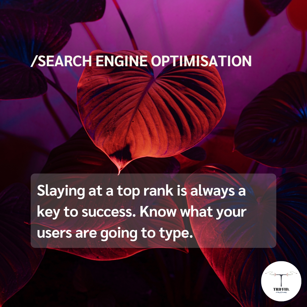 Working with an SEO Company: What to Expect