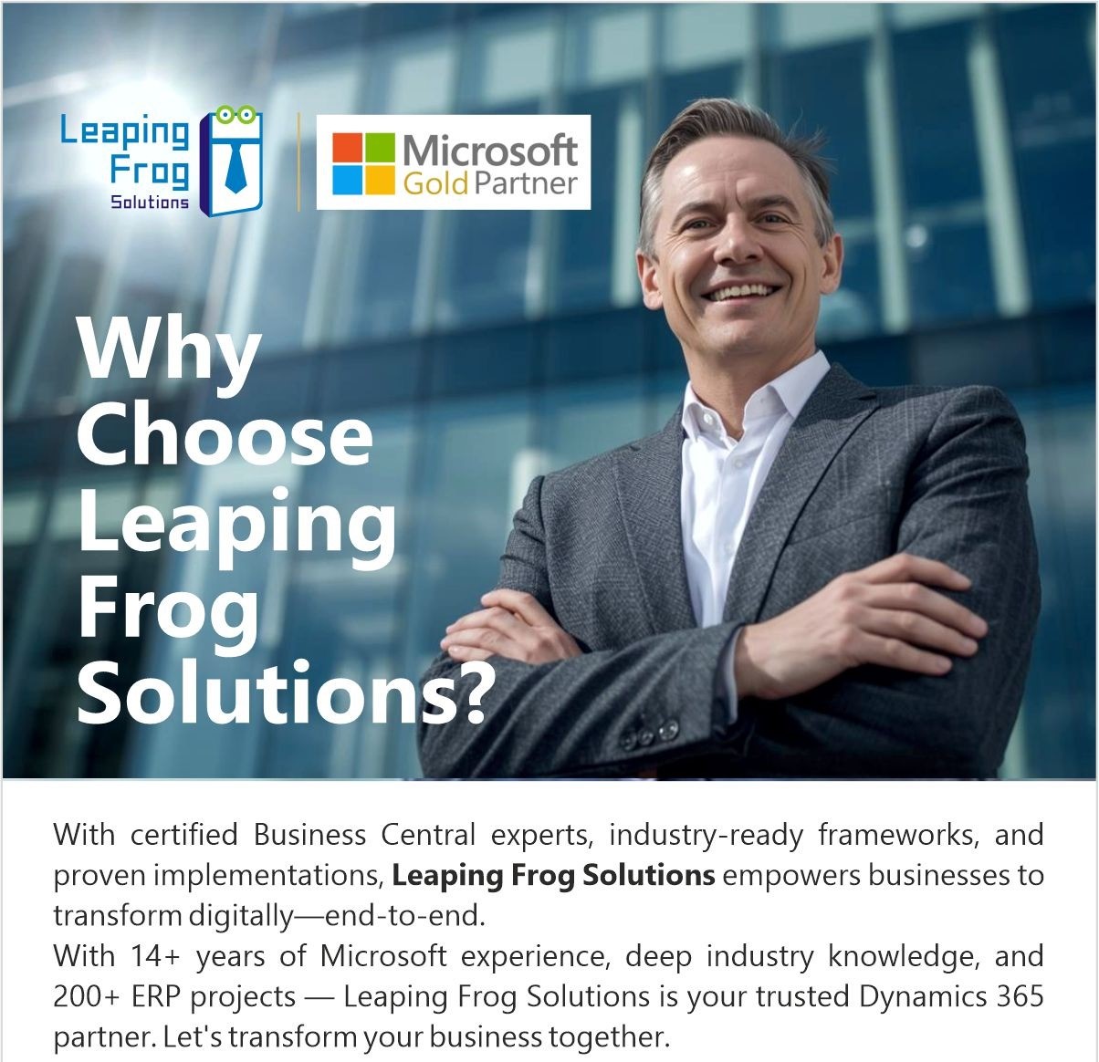 Microsoft ERP provider