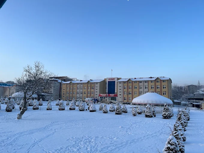 best medical university in kyrgyzstan for mbbs