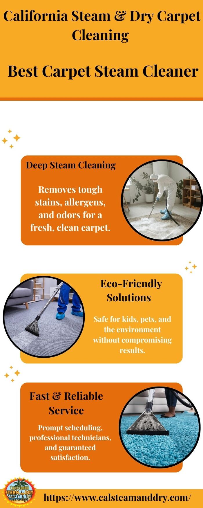Best Carpet Steam Cleaner​
