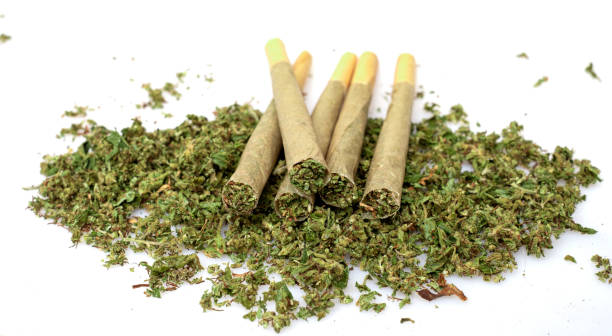 Everything You Need to Know About Cannabis Pre-Rolls