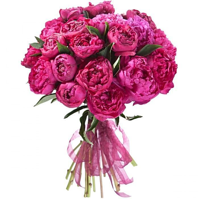 Women's Day Flowers: Celebrate the Women Who Inspire Us