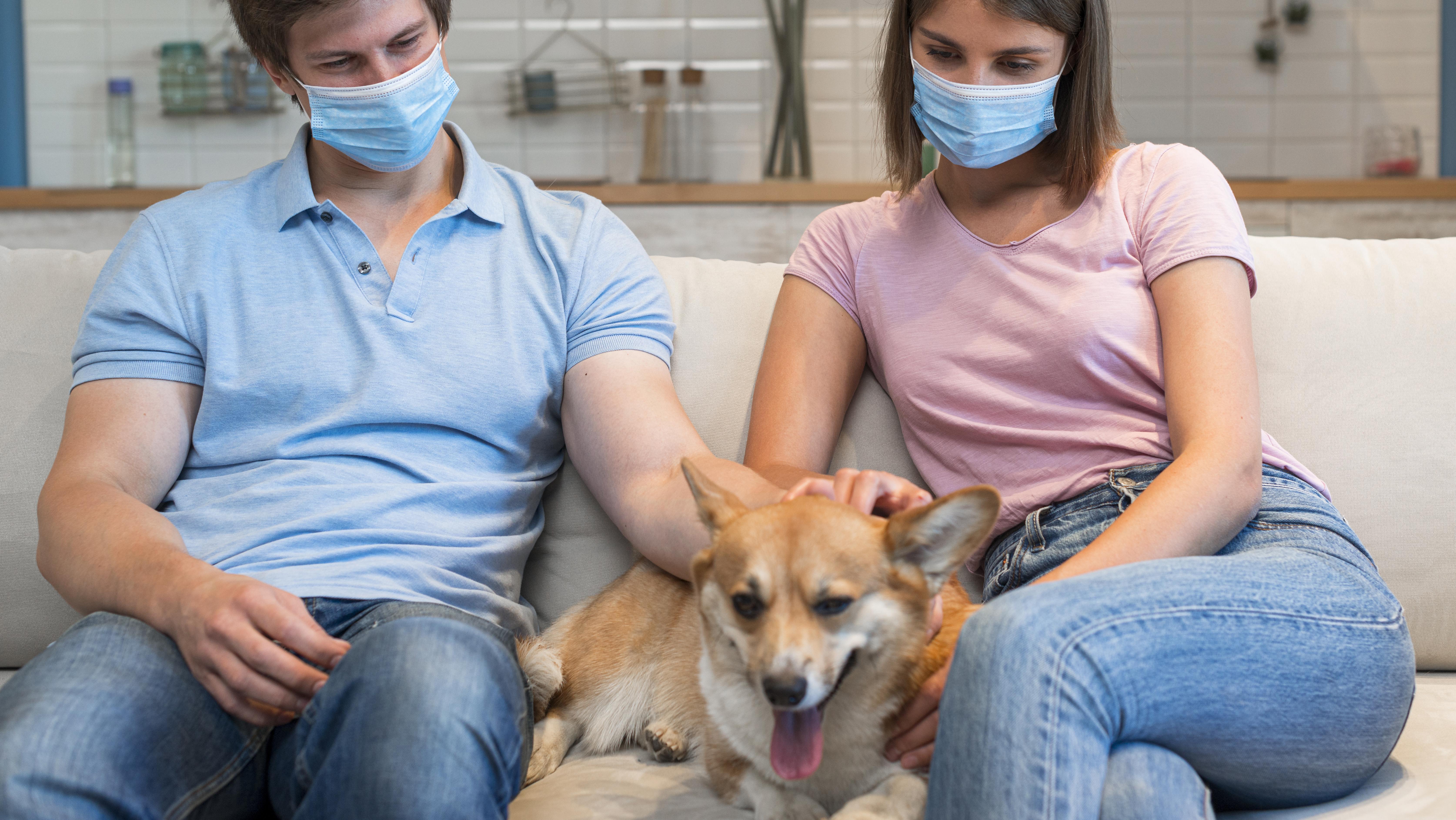 Amy Spicer Chicago’s Role in Elevating Community Pet Care Standards