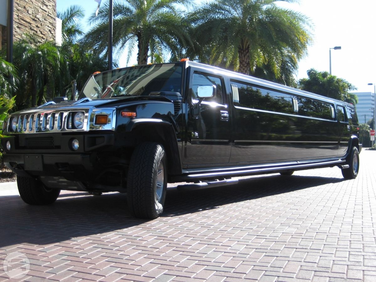 Limousine Transportation