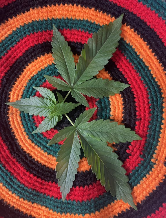 From Pain to Peace: How Cannabis Digital Art Reflects Holistic Healing