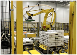 Smart Warehousing Solutions: Redefining Warehouse Activities and Operations