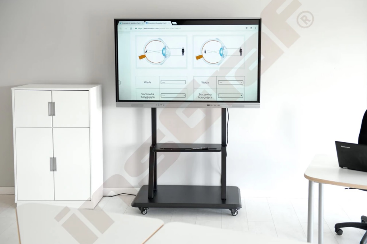 Frühe Bildung im Kontext gesellschaftlicher Veränderungen