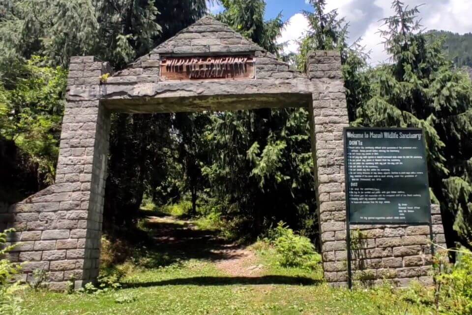 Manali Wildlife Sanctuary – Best Time to Visit, Ticket Price & Complete Guide