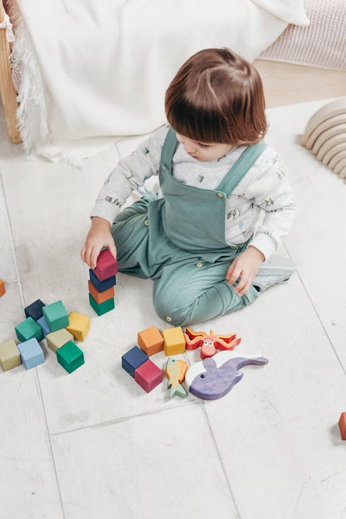A young child in green overalls sitting on the floor playing with colorful wooden blocks and animal toys.