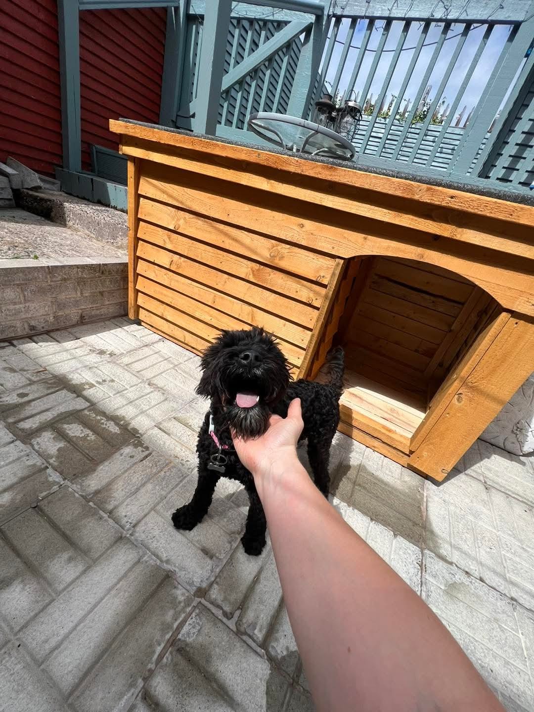 Premium Waterproof Outdoor Dog Kennels in Dublin