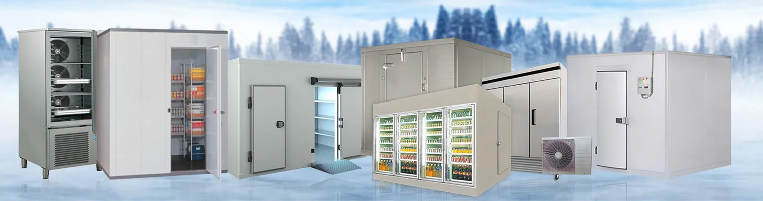 Choosing the Right Banana Ripening Chamber Manufacturers in India