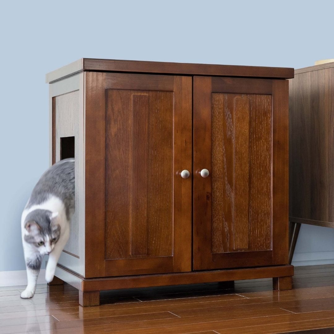 Best Litter Box Cabinet Guide for Cat Owners