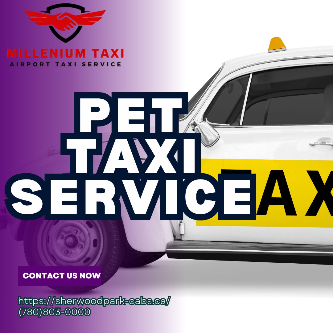 How Professional are the Drivers at Our Pet Taxi Service?