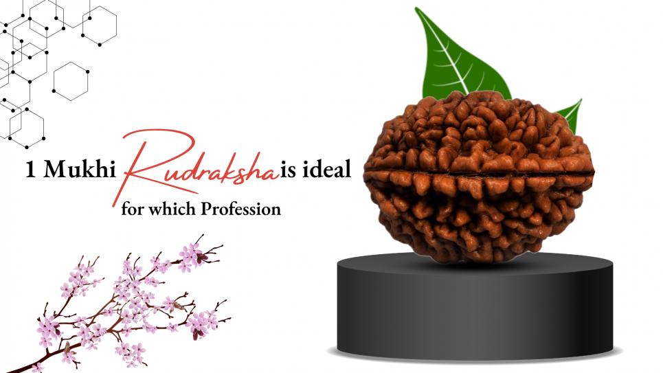 One Mukhi Rudraksha Ideal For Which Profession?