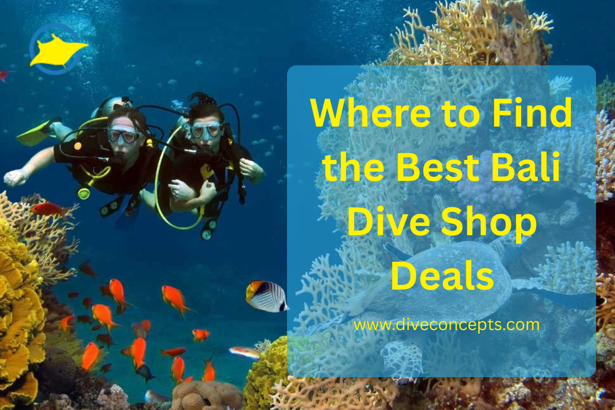 Bali dive shop