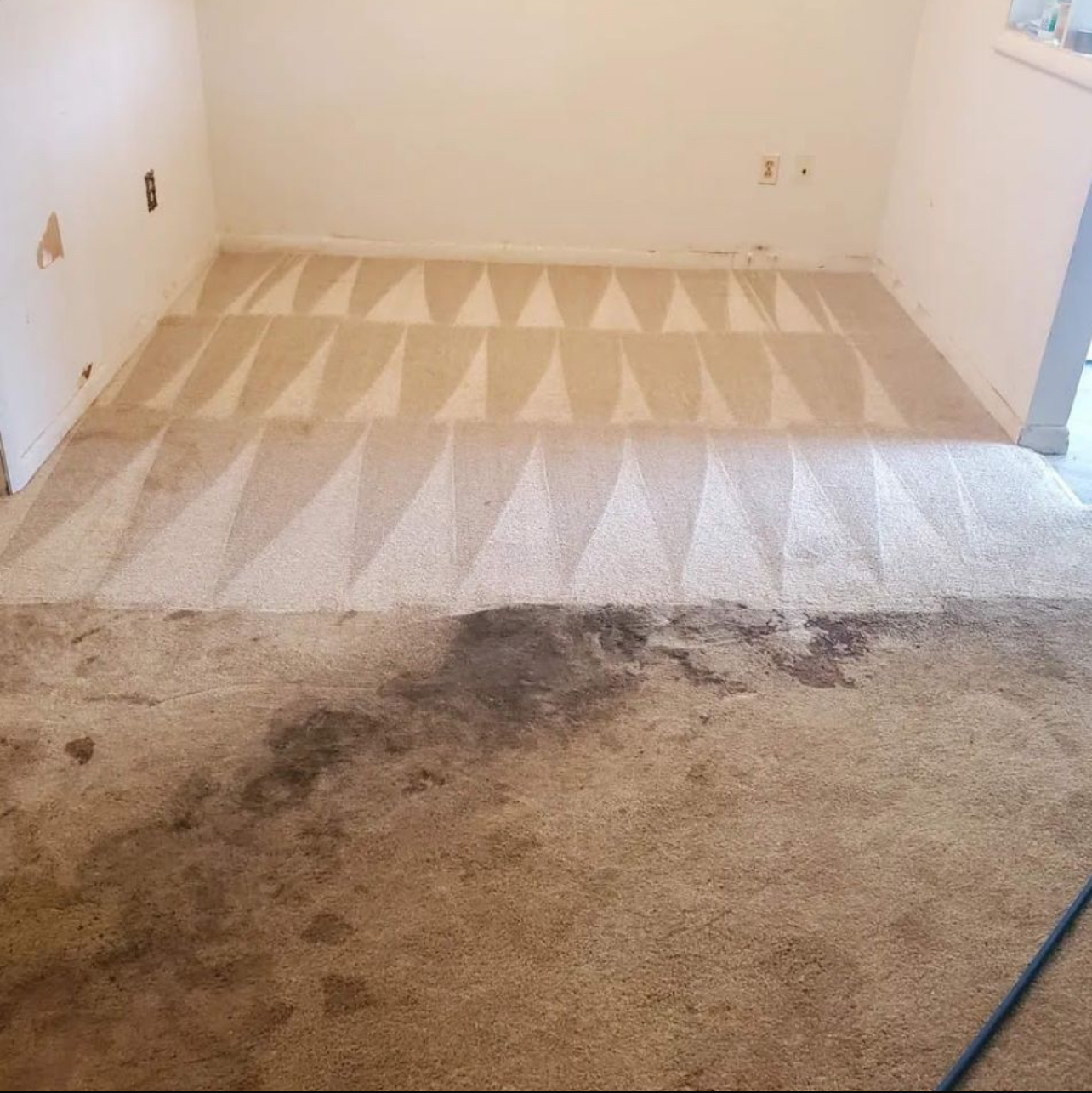 How Professional Steam Cleaning Protects Your Carpet Investment?