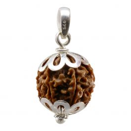 Do You Know These Powerful Benefits of 6 Mukhi Rudraksha?