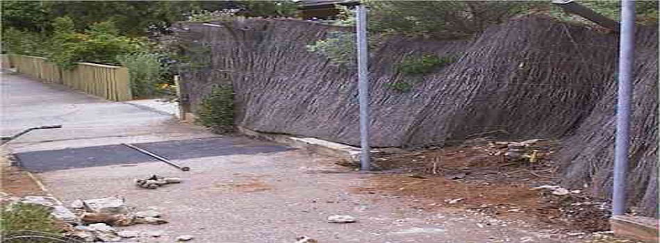 Sydney Brushwood Fencing Services Offering Dependable Craftsmanship and Quality Repairs