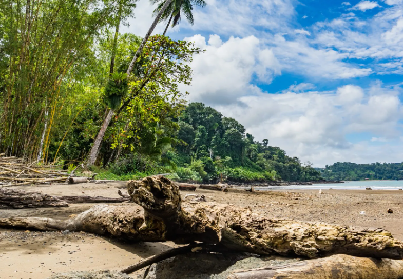 Things to Do in Arenal Volcano: Your Ultimate Costa Rica Adventure Guide