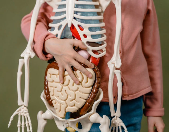 Learn Smarter with Experienced Biology Tutors Online