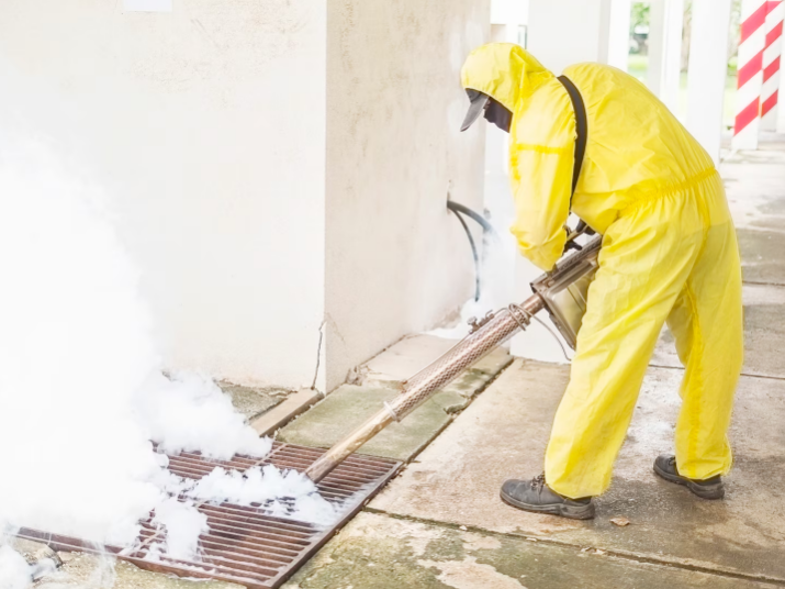 5 Early Warning Signs You Need Professional Termite Control