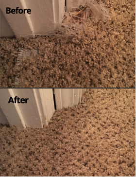 Why Carpet Buckling Happens and How Professional Repair Fixes It for Good