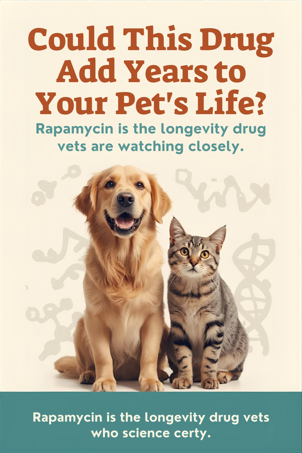 Can Rapamycin Help Your Pet Live Longer? What Science Says