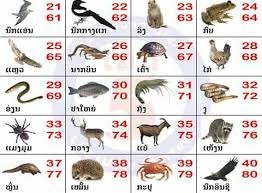 ชนะอย่างชาญฉลาดกับหวยลาว: ตรวจผลสดและอัปเดตทันใจ