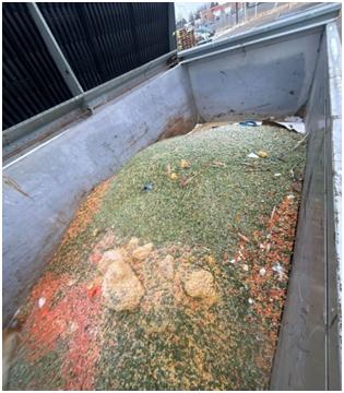 Why Call Experts for Waste and Recycling Work?