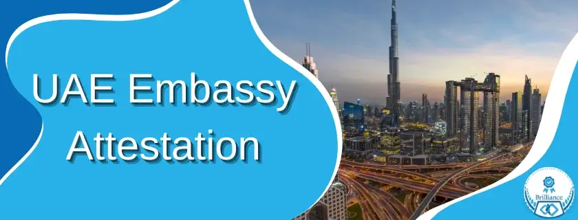 Embassy Attestation for Medical Certificates- When and Why It Is Needed