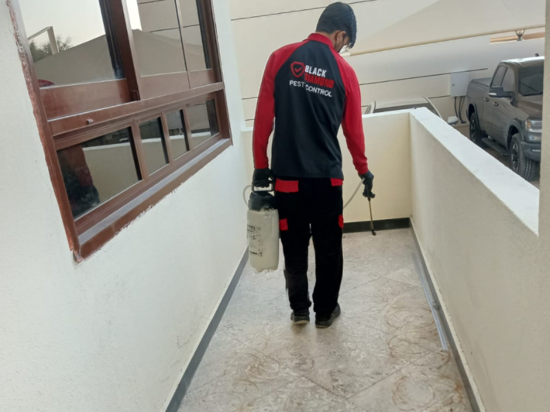 Best pest control Abu Dhabi