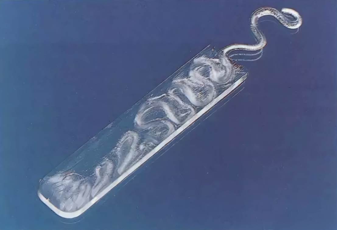 水中的倒影
AI 生成的内容可能不正确。