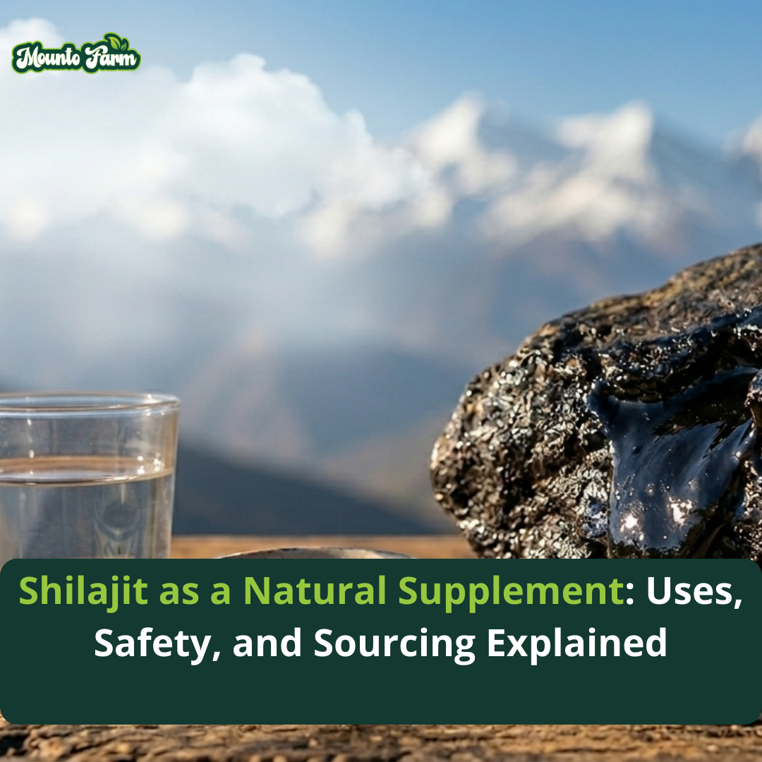 Shilajit as a Natural Supplement: Uses, Safety, and Sourcing Explained