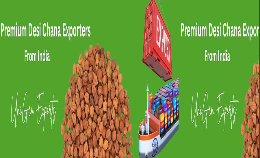 How to Select the Right Bulk Desi Chana Exporters India for Your Business?