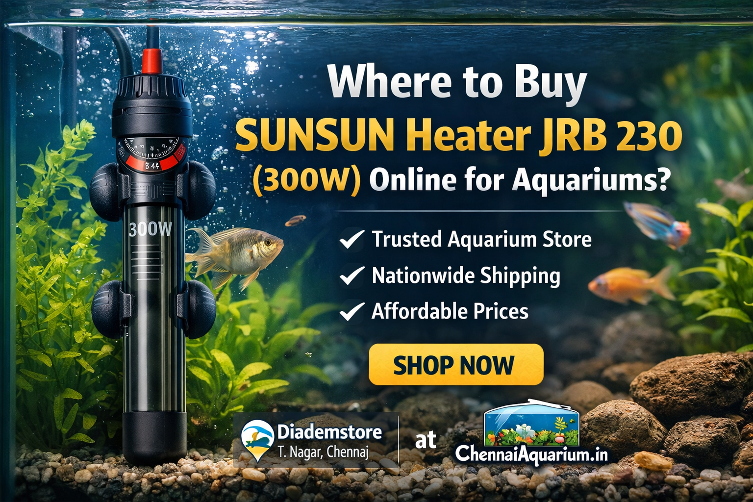 ADA Phyton Git Plus 50ml Buy Online in India | Original Aquarium Algae Treatment – Chennai Aquarium