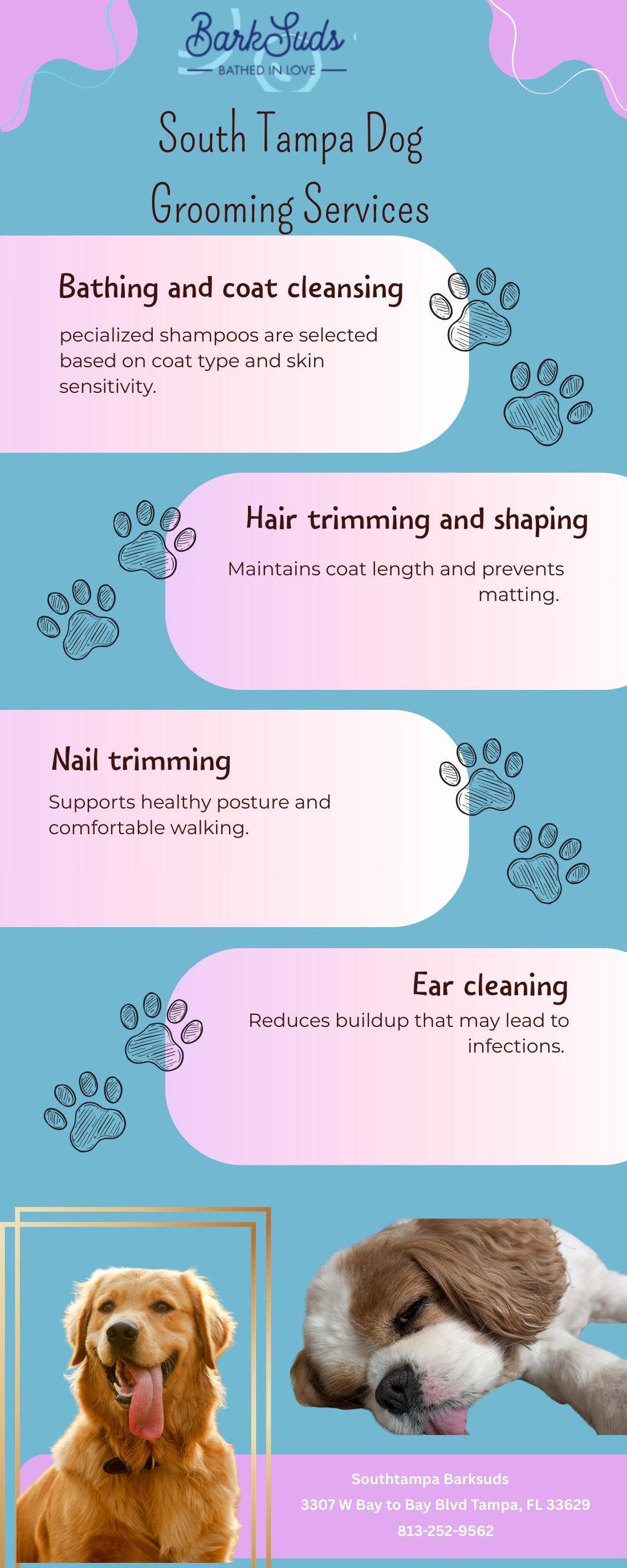 South Tampa Dog Grooming Insights Today
