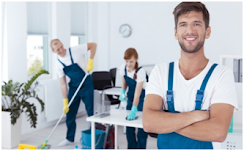 Necessity of Seeking Licensed Professional Cleaners for Commercial & Residential Spaces