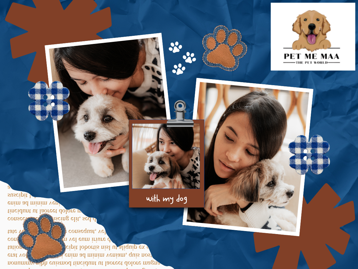 What Is the Best Dog Cafe Near Me in Noida?