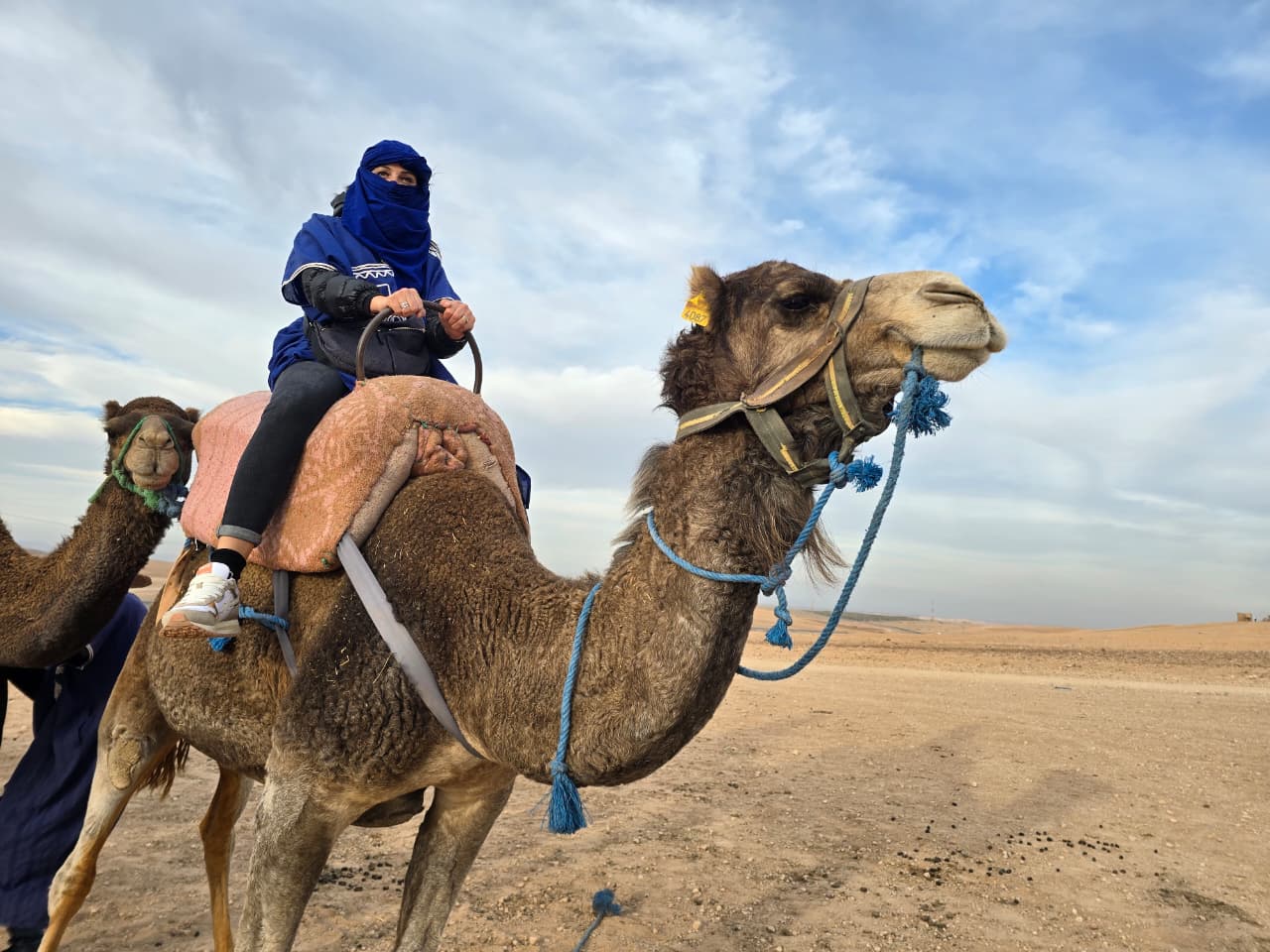 Discover Morocco’s Highlights in a Week: An Inspiring 7 Days in Morocco Tour