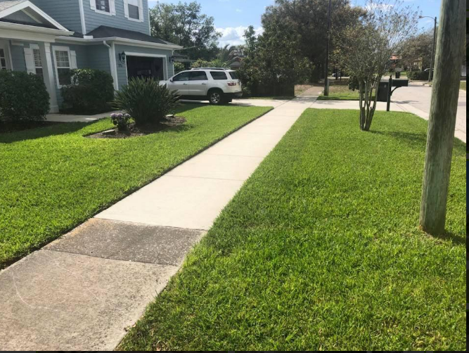 Lawn Care Warner Robins | Trusted Services by Trey’s Lawn Service