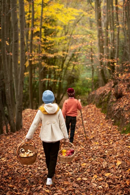 Depth-Oriented Therapy NYC: Understanding the Roots of Emotional Struggles