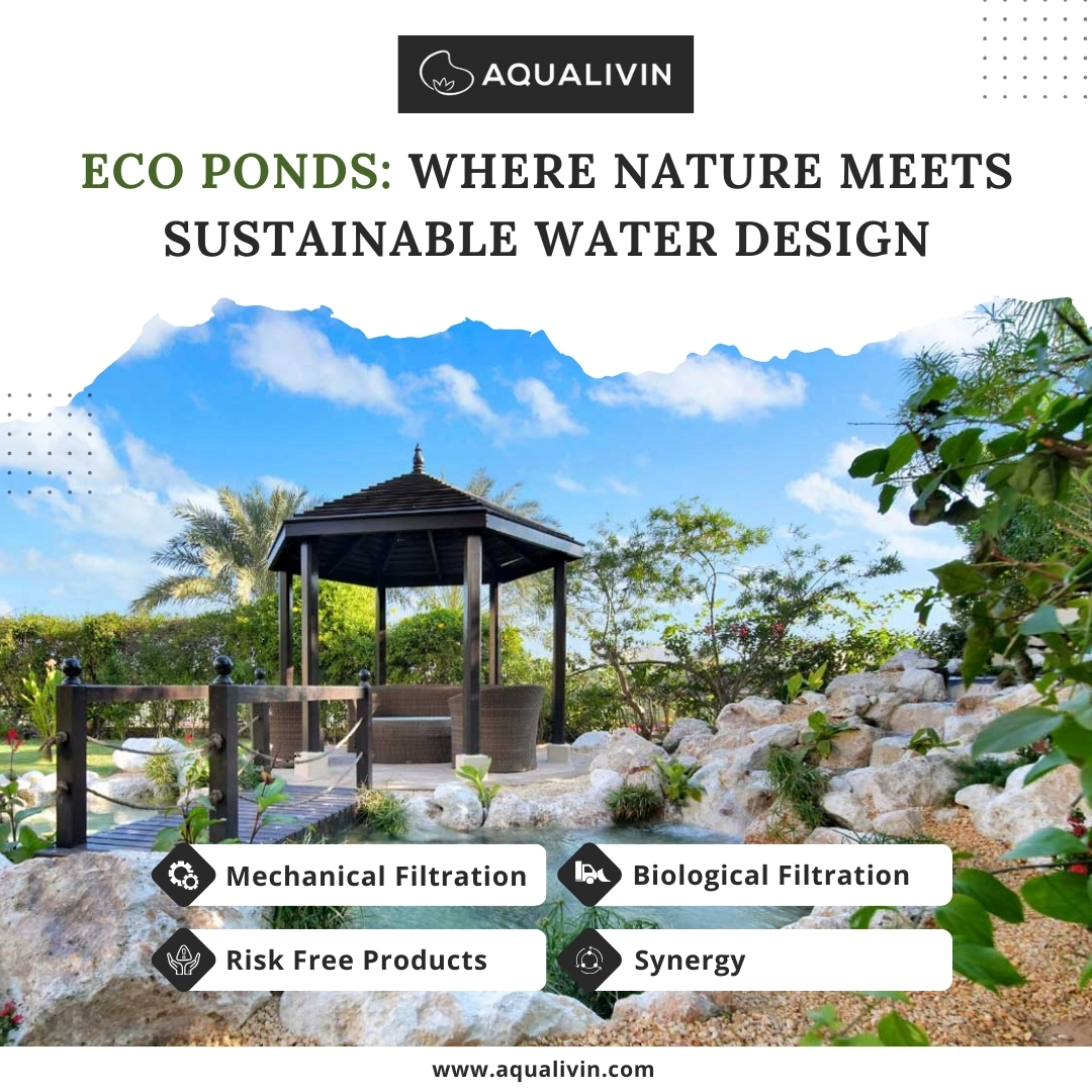 Planning an Eco Pond? Here’s How It Differs from Traditional Ponds