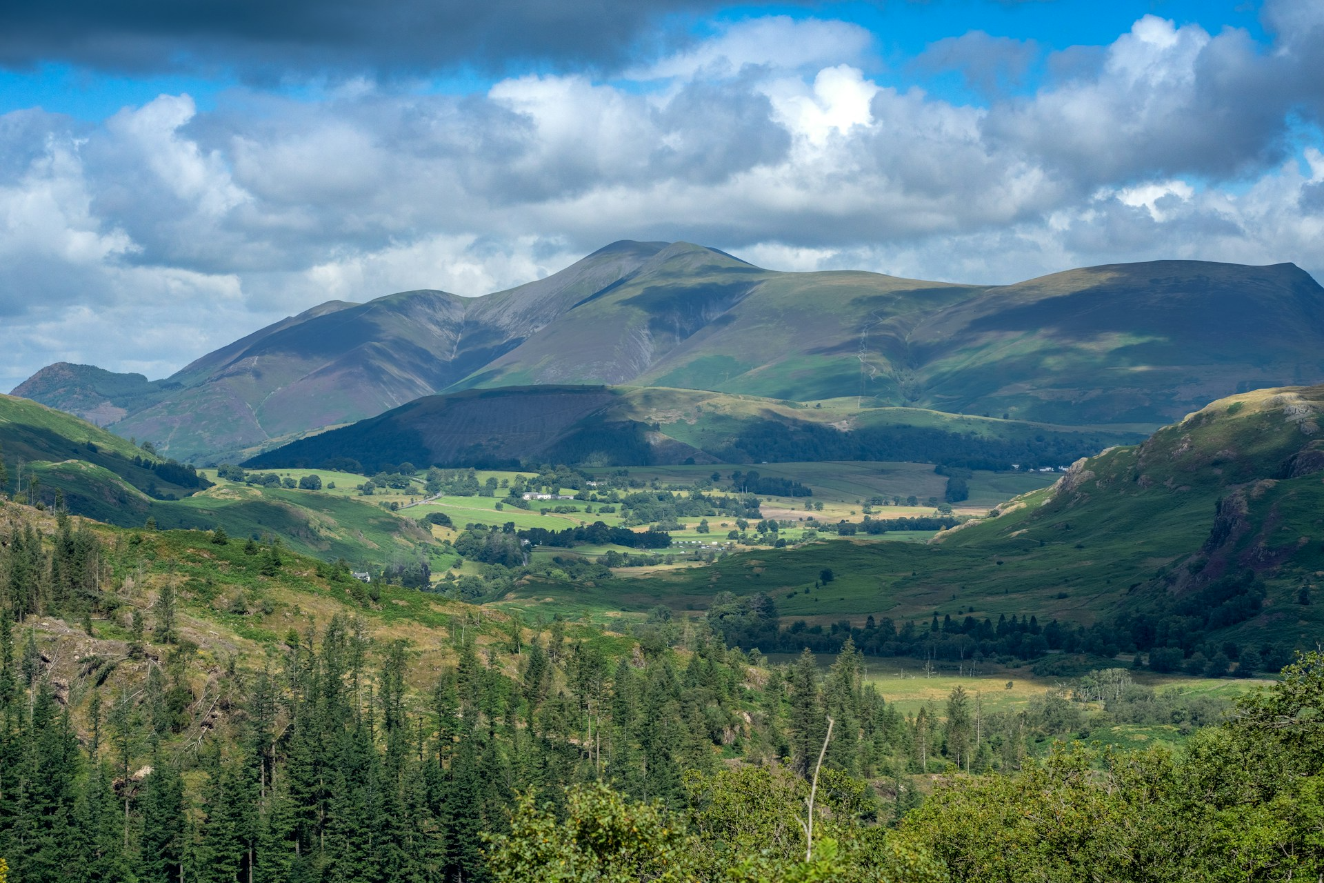 Find Walking Groups on Walkmates and Start Your Next Outdoor Adventure