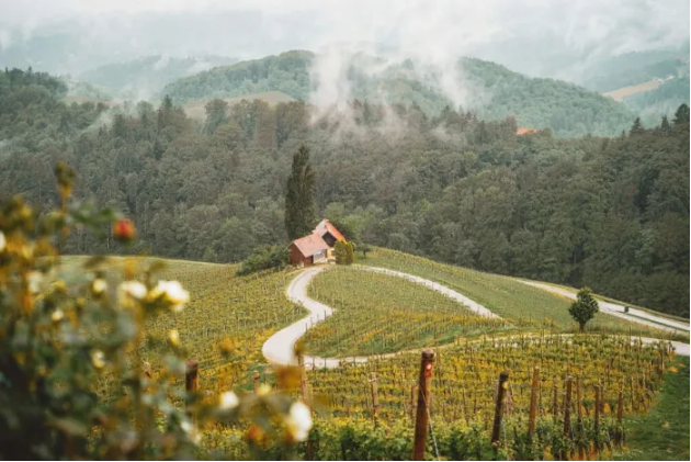 Unmissable Graz Region Day Trips: Top 10 Picks