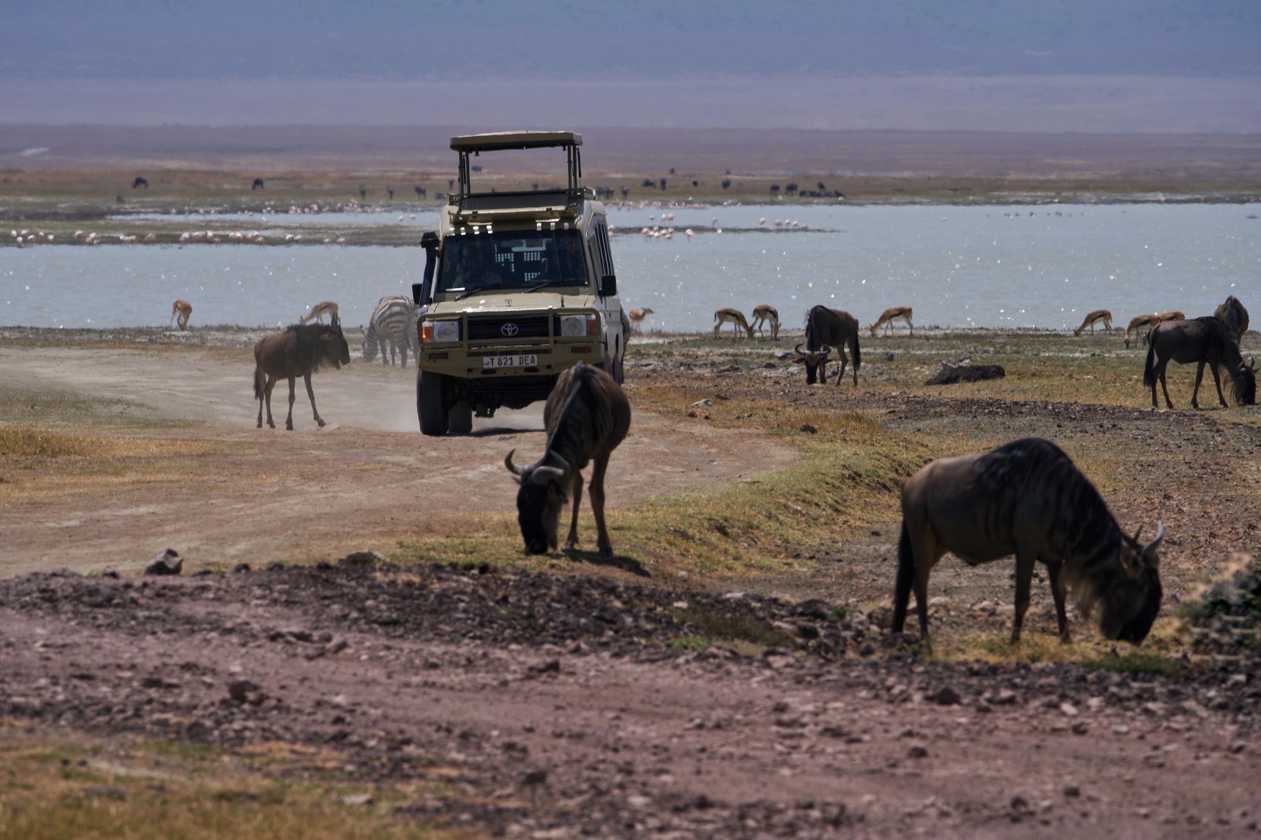Namibia eVisa explained for Travellers from Botswana