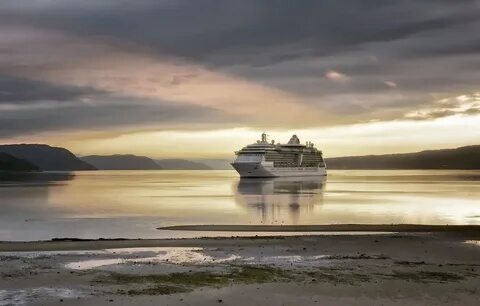 Ocean Conservation Efforts and Their Effect on the Shipping Industry