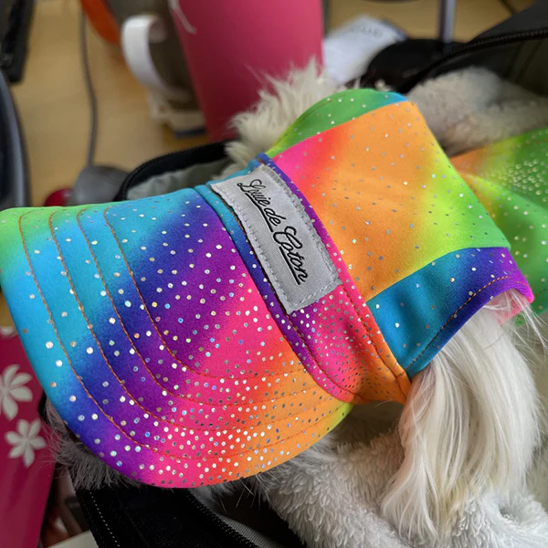 Why Every Pet Owner Should Consider a Dog Cooling Hat