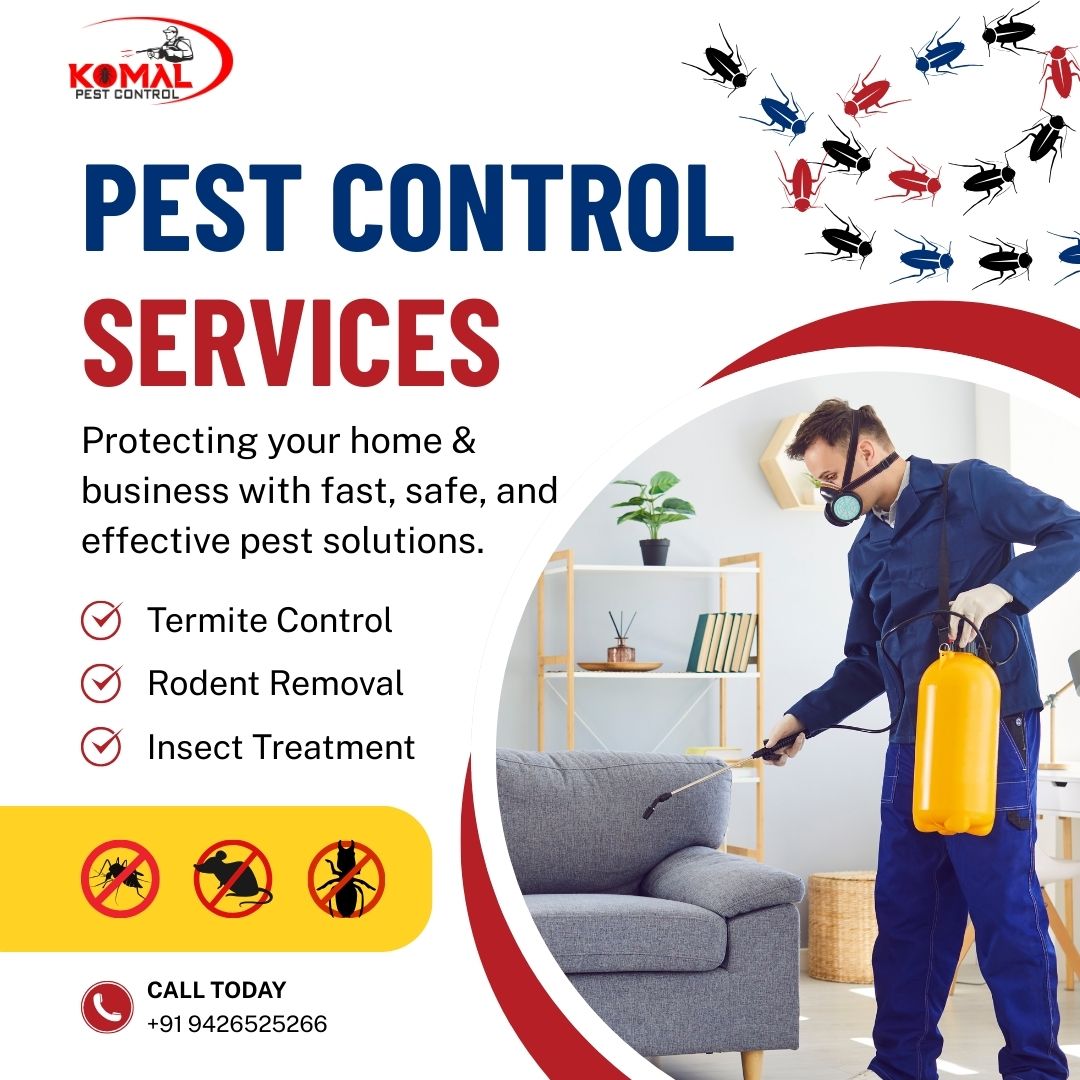 Expert Pest Control Services in Ahmedabad for Complete Protection