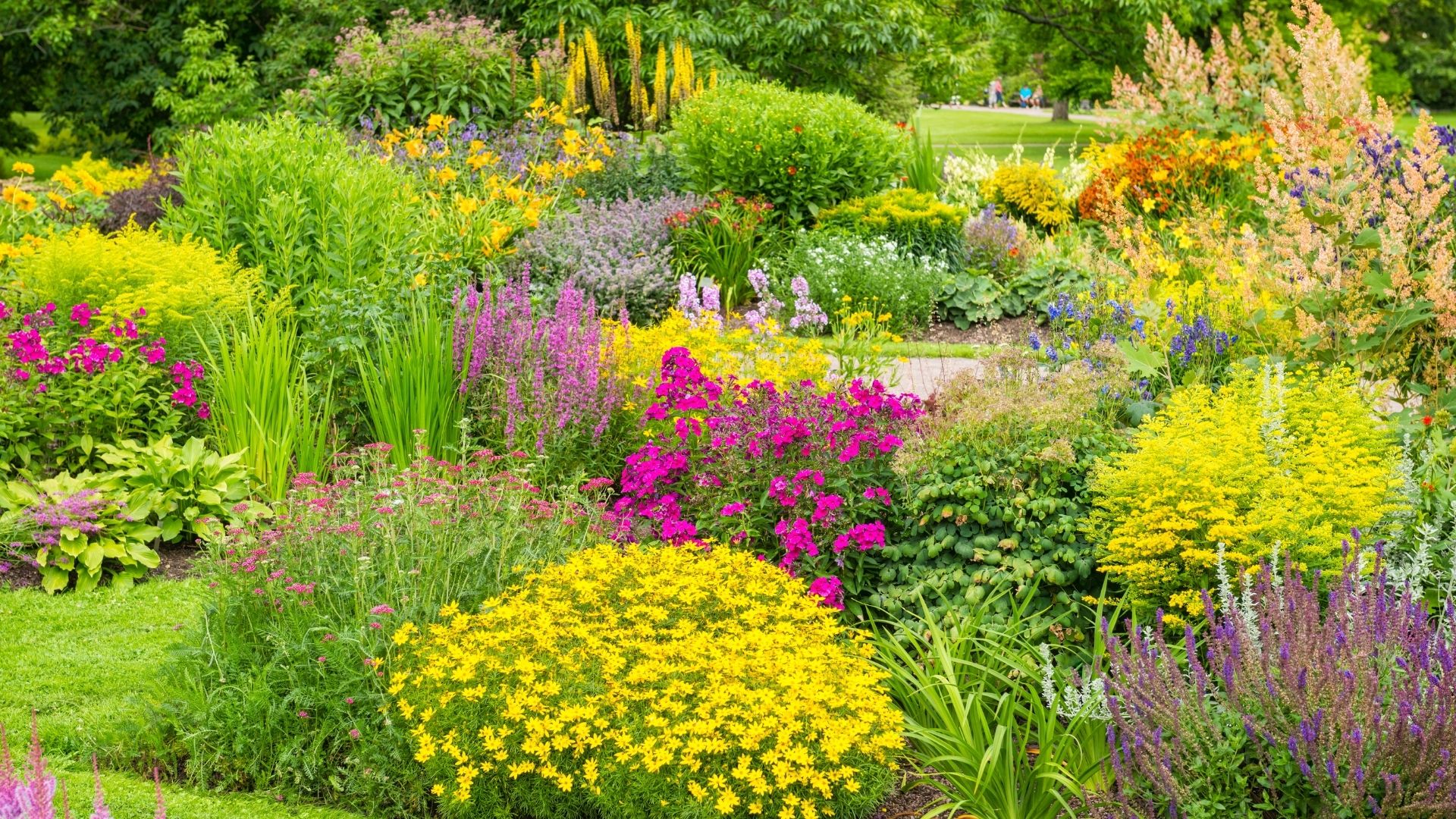 Reliable Tree Care Solutions in Dublin with Garden Pro